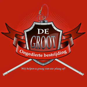 cor de groot veendam