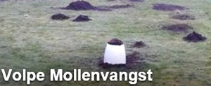 volpe mollenvangst